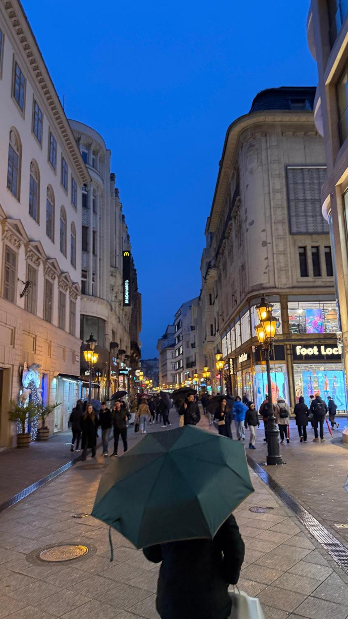 Vaci Corso Appartement Boedapest